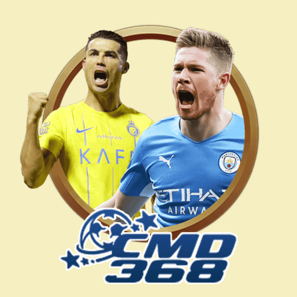 Provider Logo